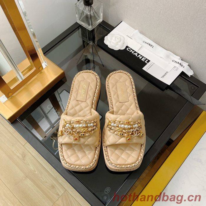 Chanel Shoes CHS00229