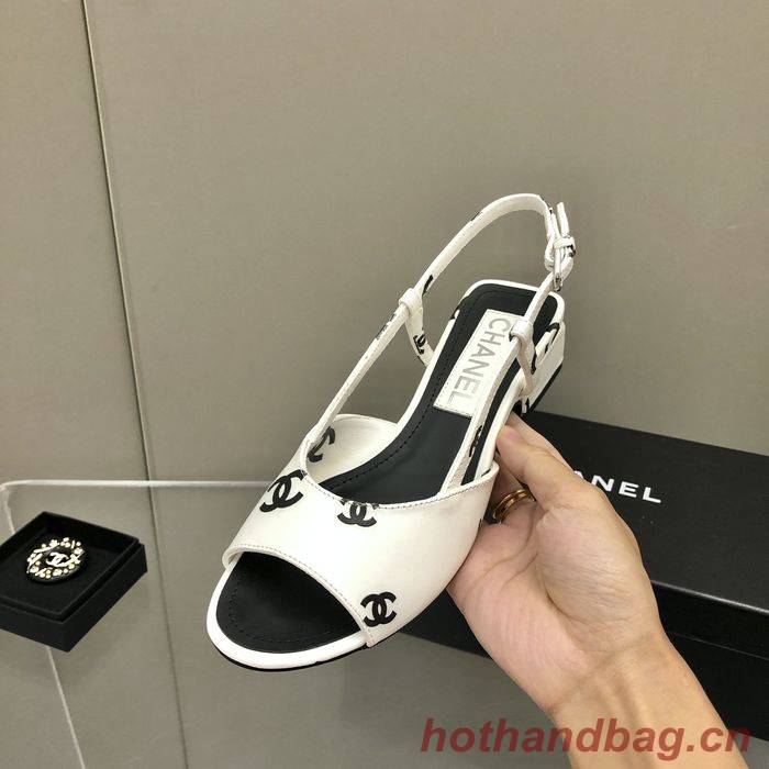 Chanel Shoes CHS00347