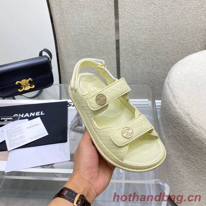 Chanel Shoes CHS00382