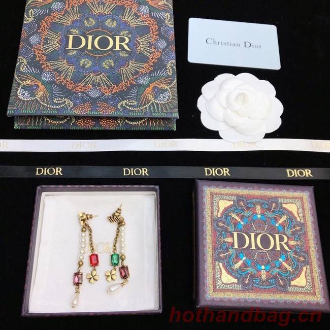 Dior Earrings CE8490