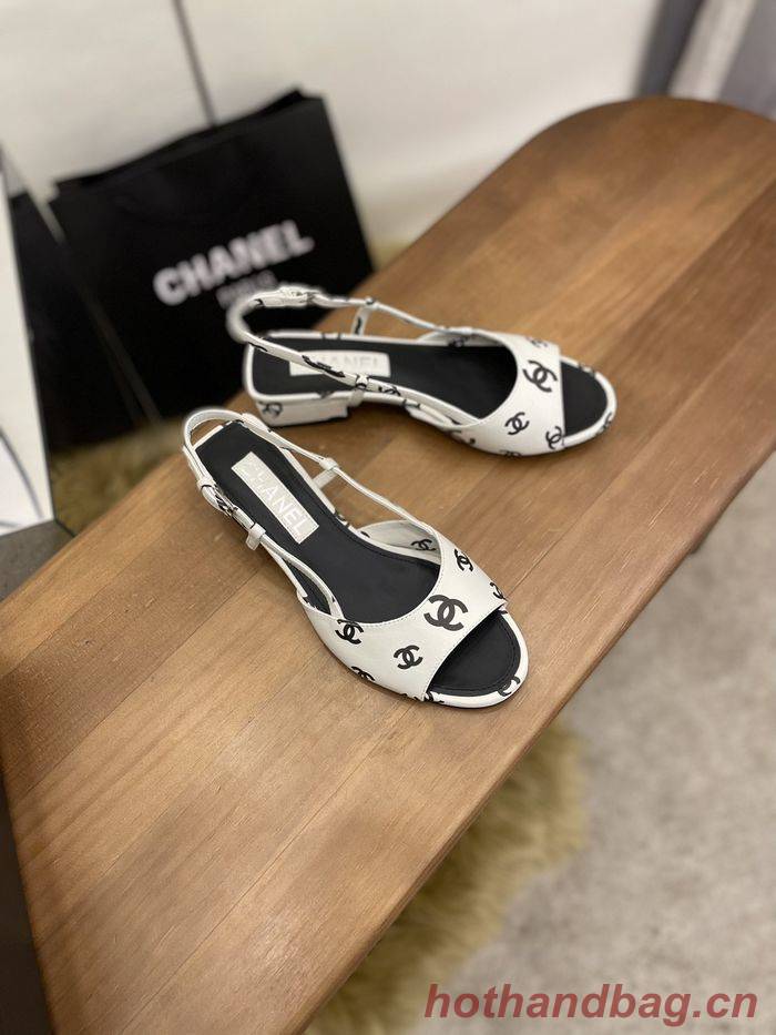 Chanel Shoes CHS00461