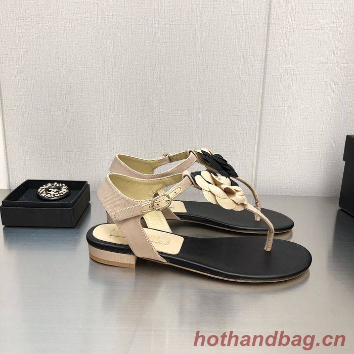 Chanel Shoes CHS00538 Heel 2.5CM