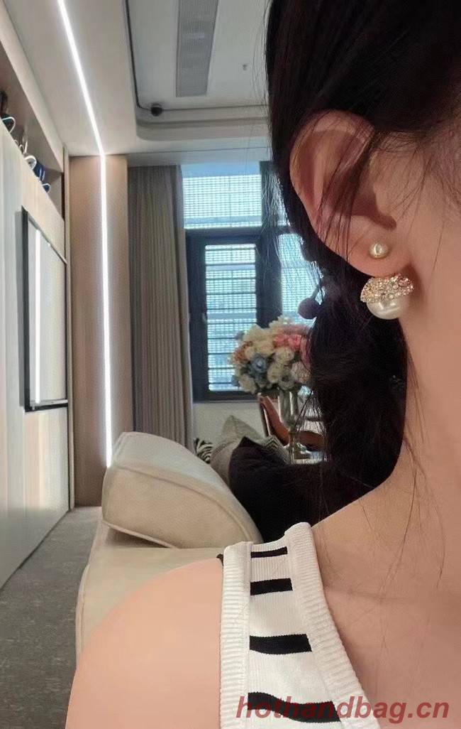 Dior Earrings CE8665