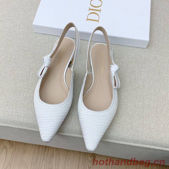 Dior Shoes DIS00063