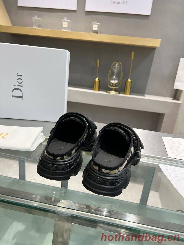 Dior Shoes DIS00124