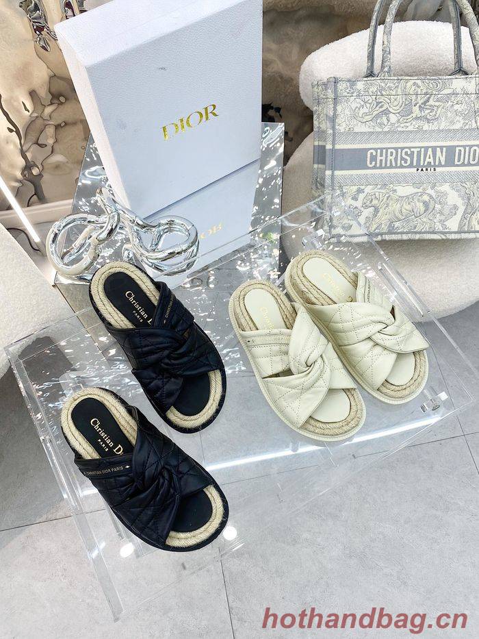 Dior Shoes DIS00125