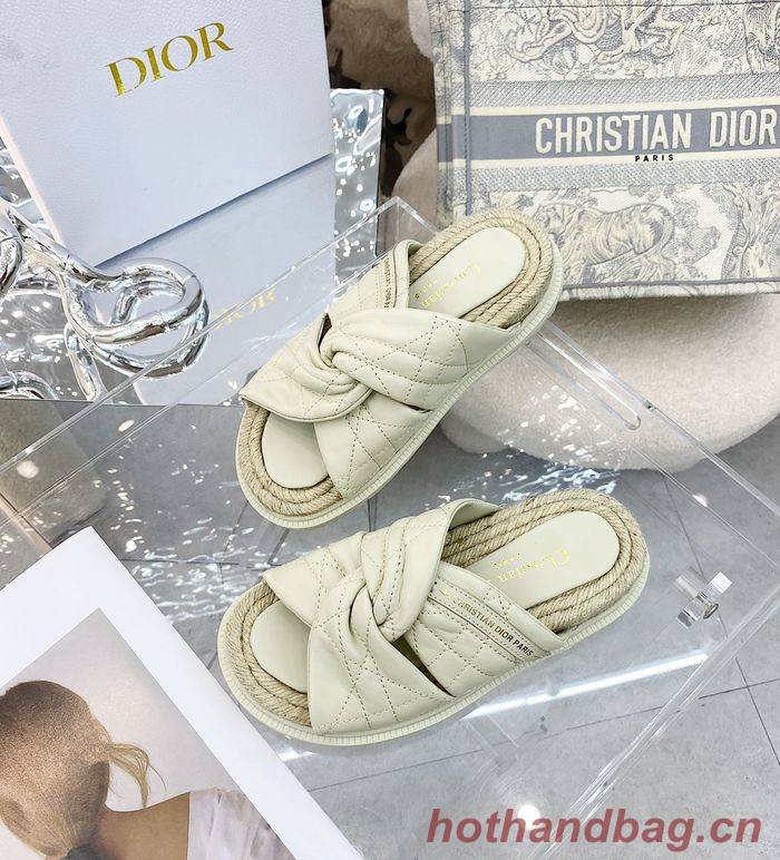 Dior Shoes DIS00126