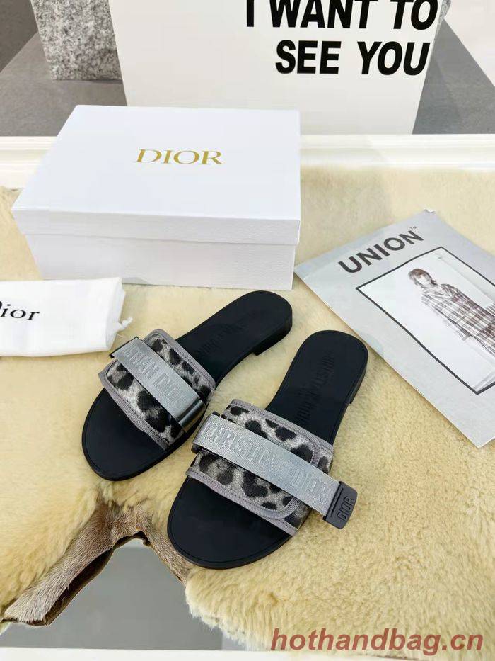 Dior Shoes DIS00149