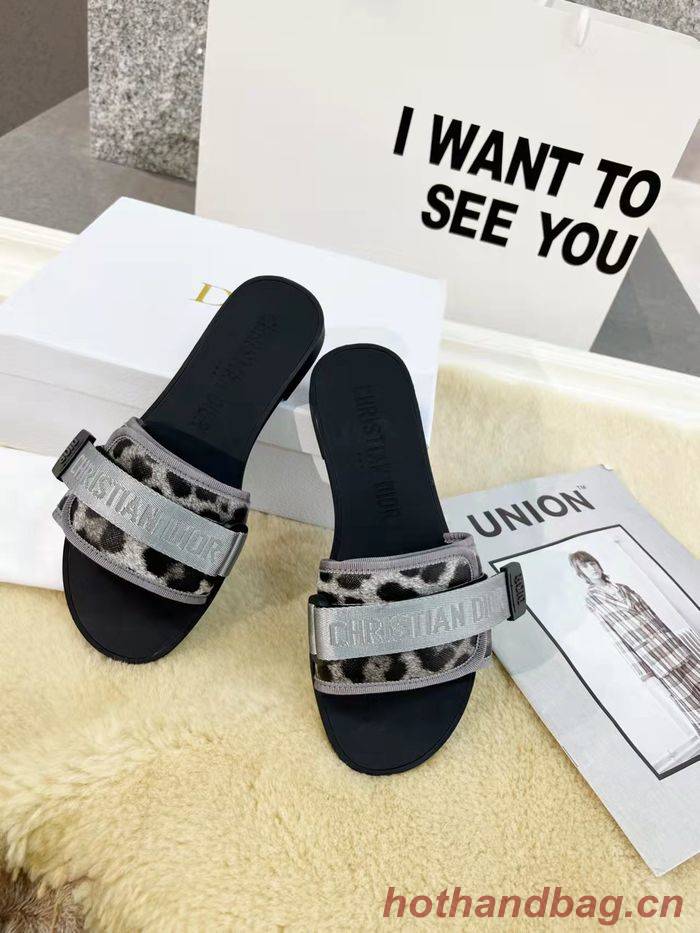 Dior Shoes DIS00149