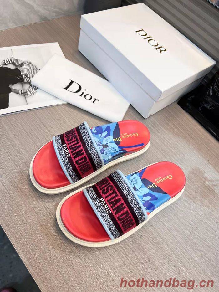 Dior Shoes DIS00151