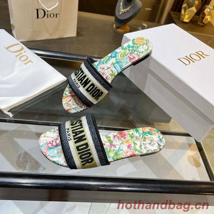 Dior Shoes DIS00160