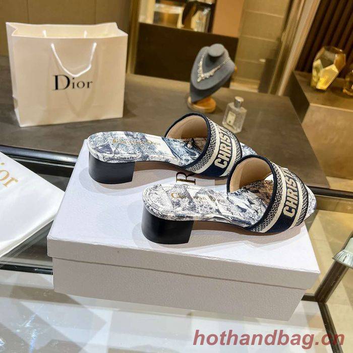 Dior Shoes DIS00166