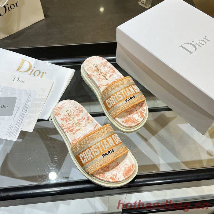 Dior Shoes DIS00168