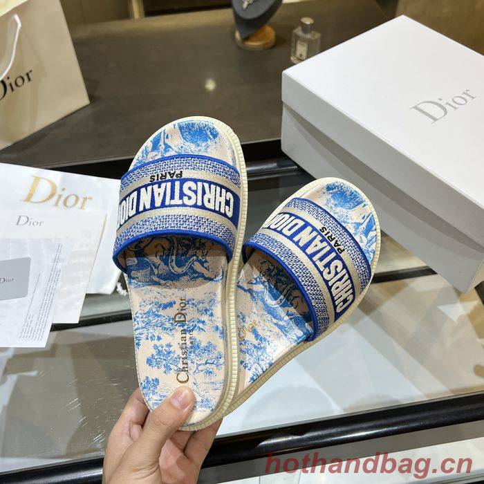 Dior Shoes DIS00169