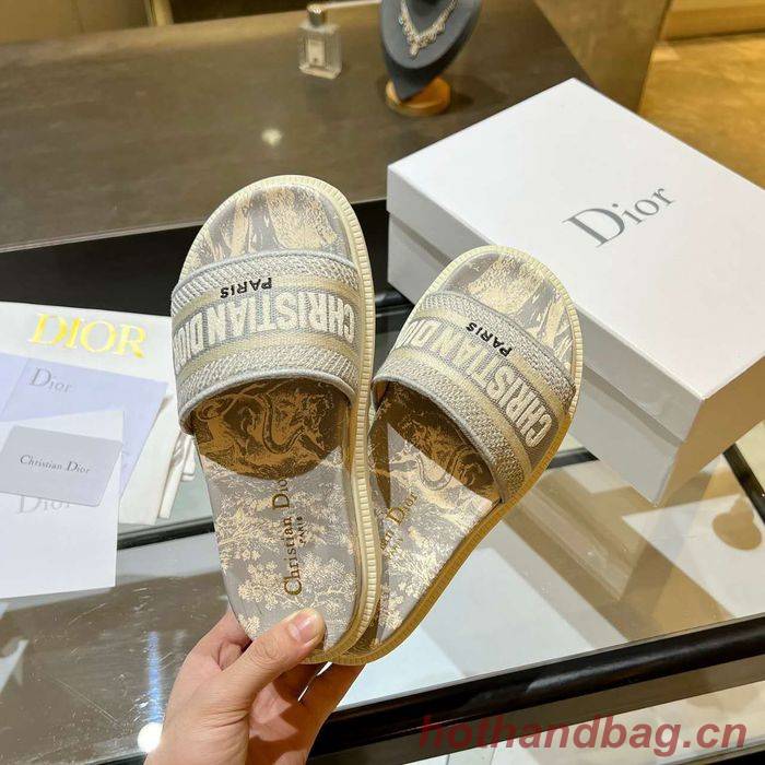 Dior Shoes DIS00174