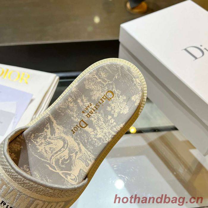 Dior Shoes DIS00174