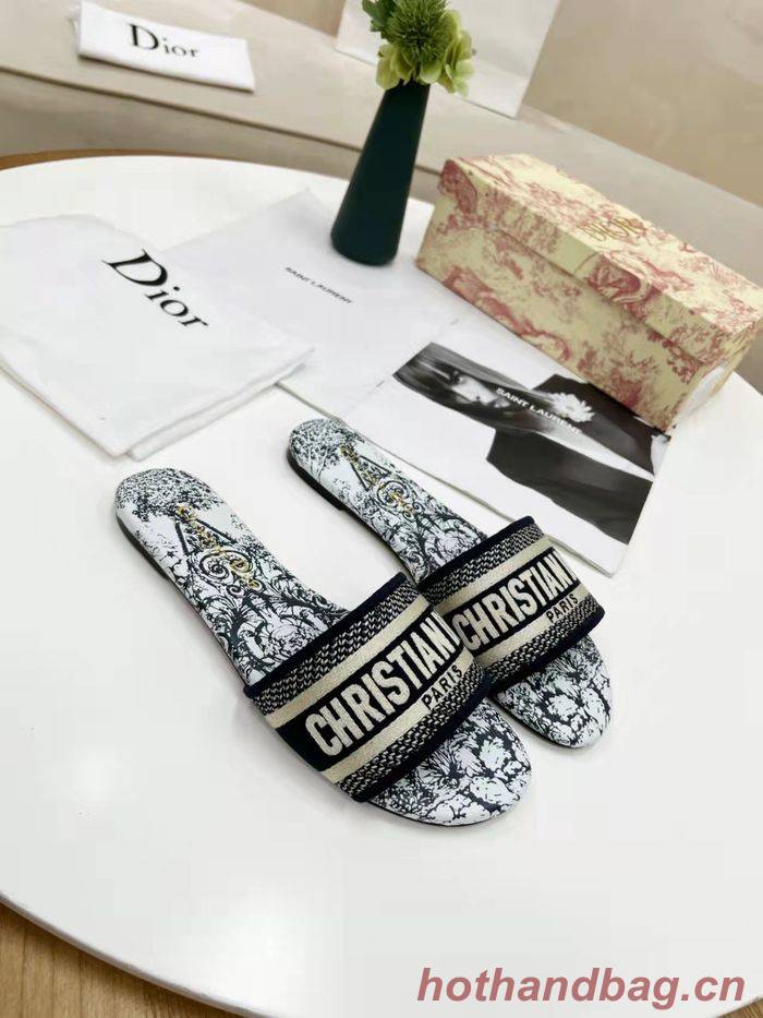 Dior Shoes DIS00182