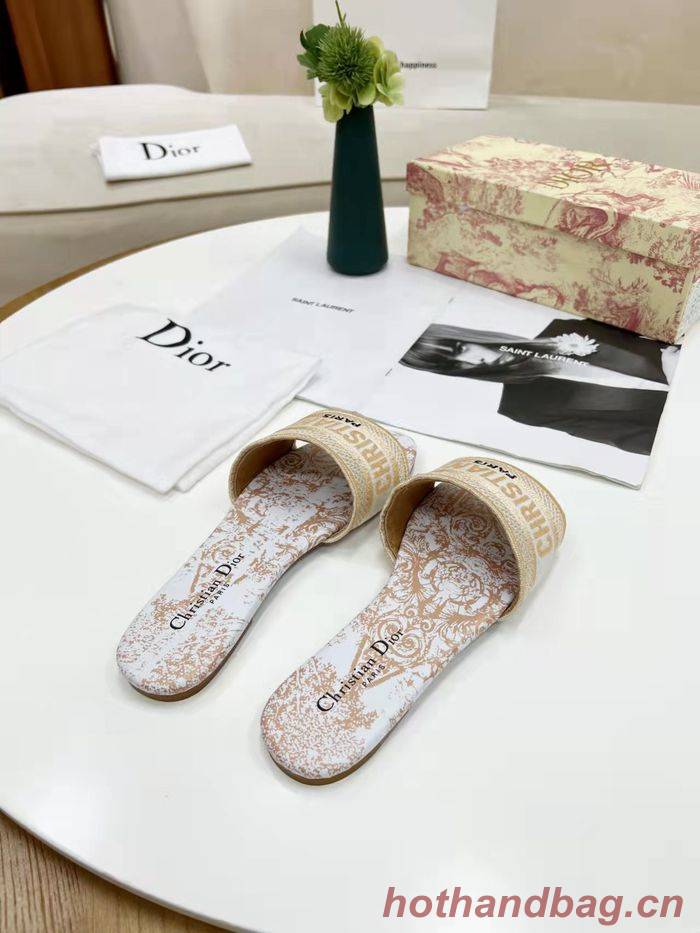 Dior Shoes DIS00183