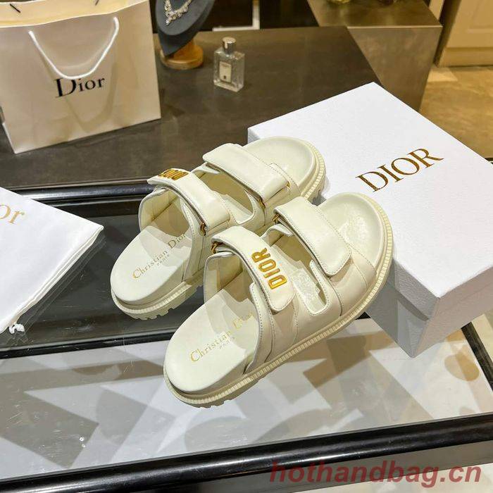 Dior Shoes DIS00205