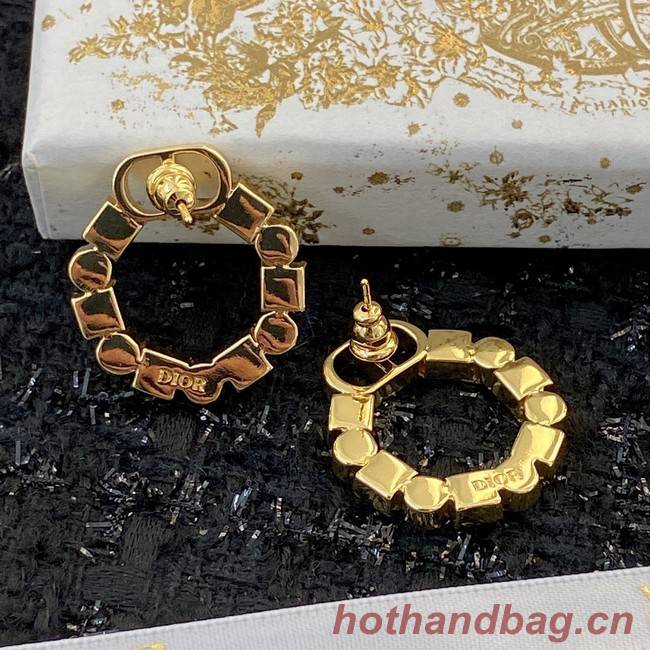 Dior Earrings CE8912