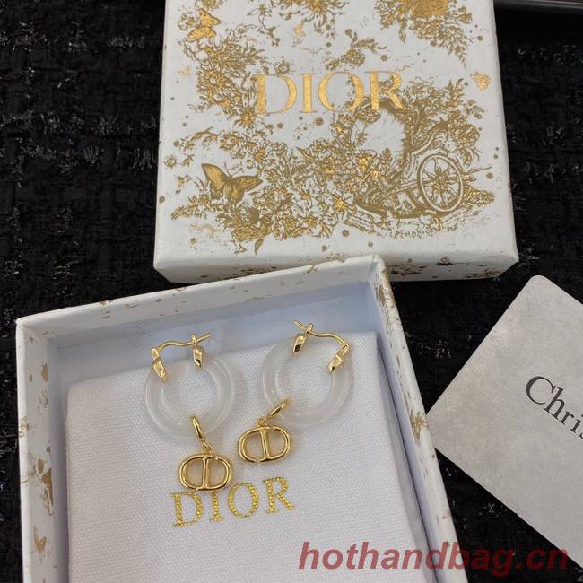 Dior Earrings CE8933