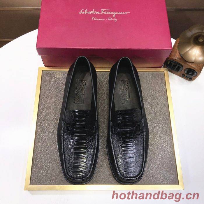 Ferragamo Shoes FMS00071