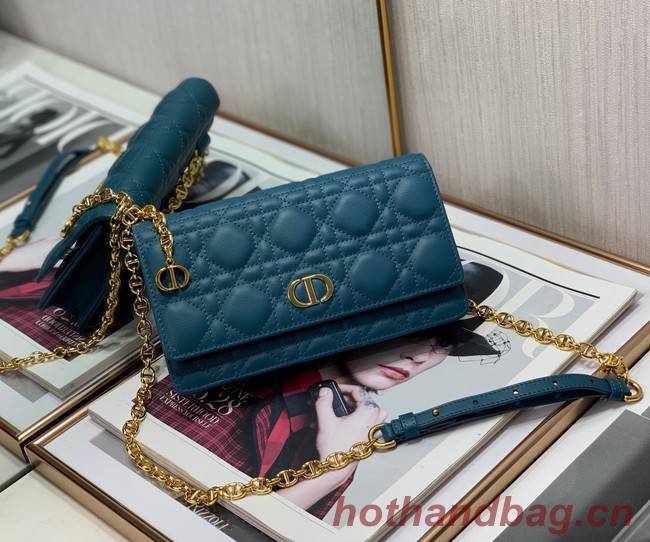 Dior BELT POUCH 2273 blue