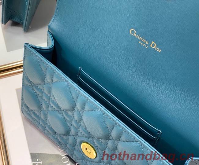 Dior BELT POUCH 2273 blue