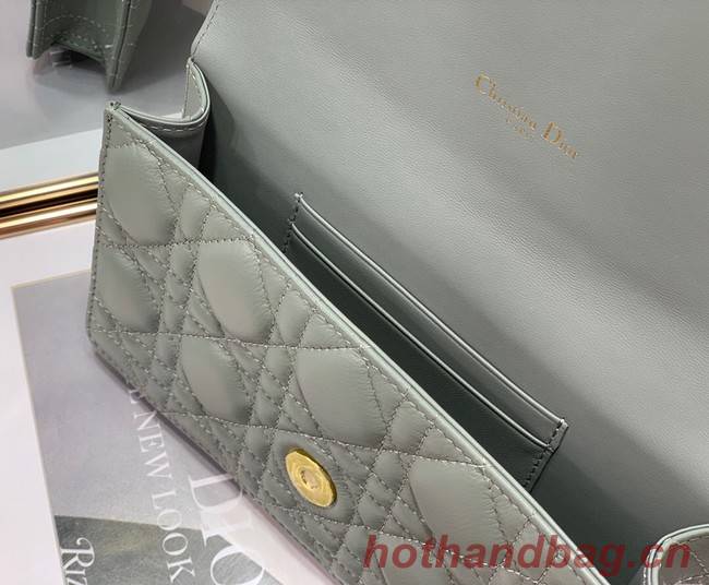 Dior BELT POUCH 2273 gray