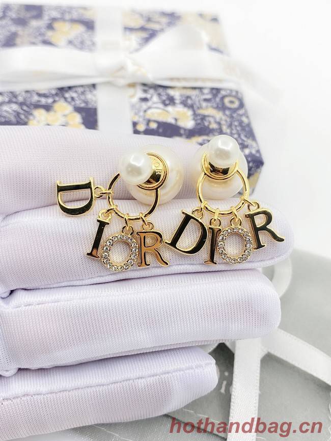 Dior Earrings CE9110