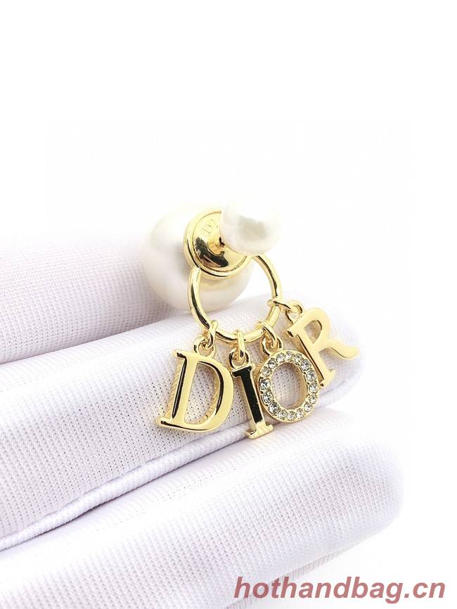 Dior Earrings CE9110