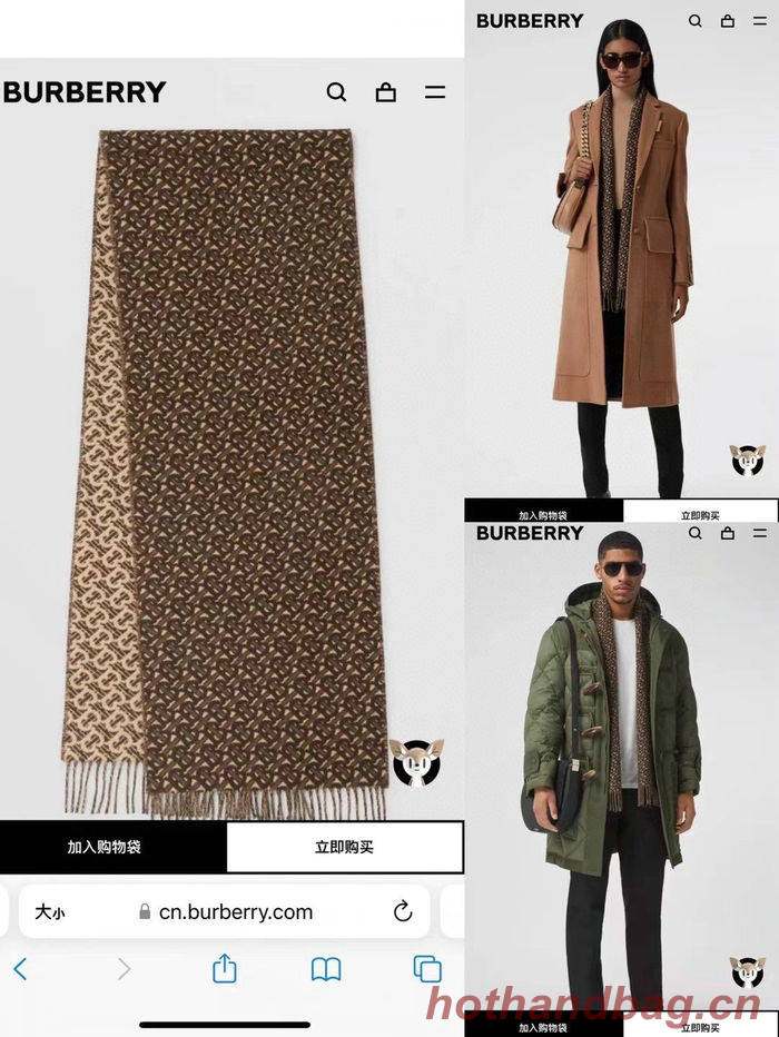 Burberry Scarf BBC00006