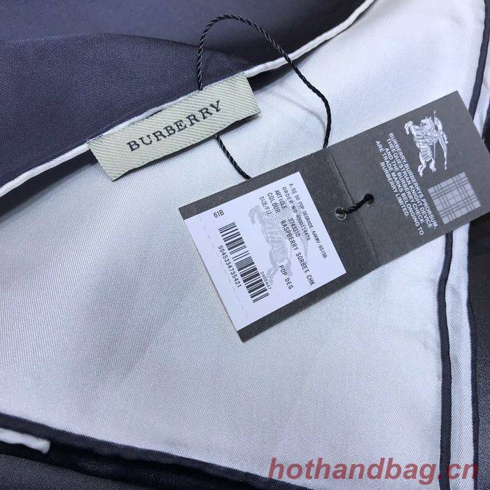 Burberry Scarf BBC00068