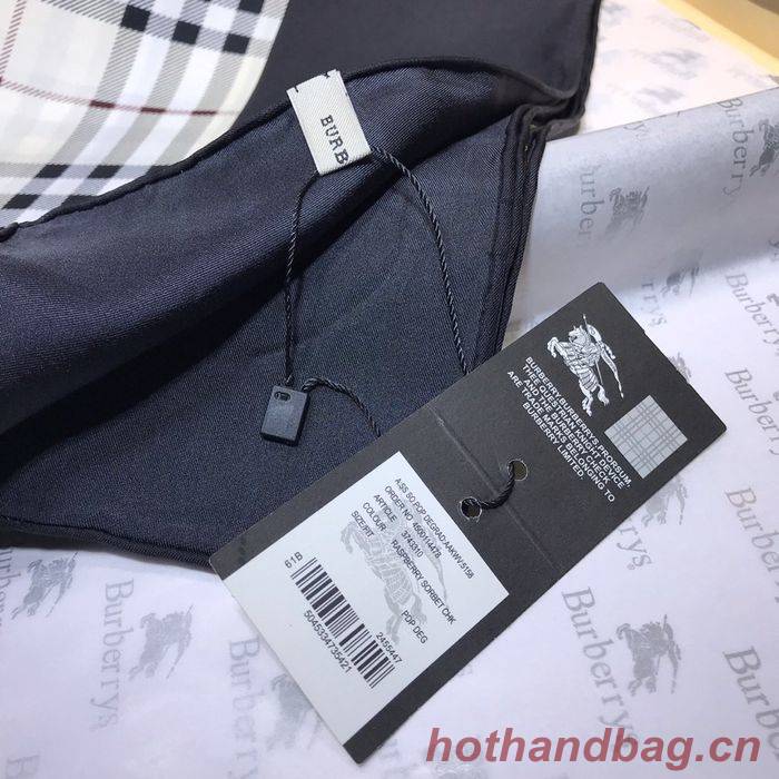 Burberry Scarf BBC00088