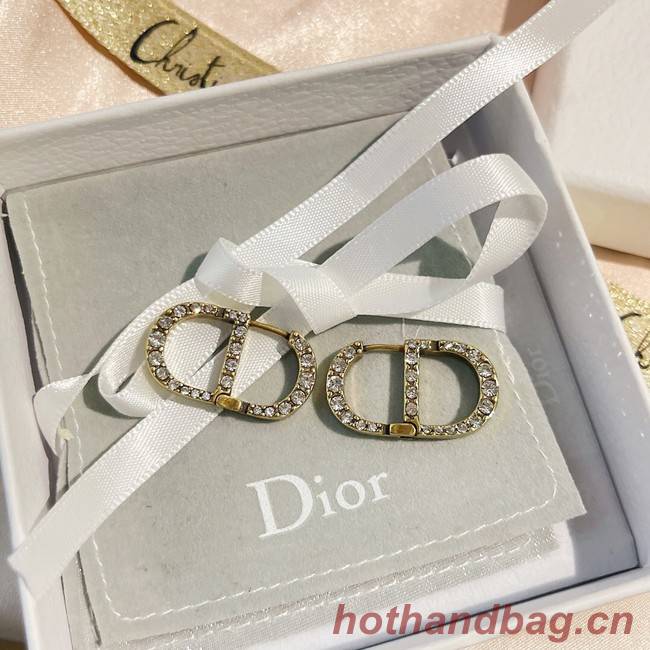 Dior Earrings CE9255