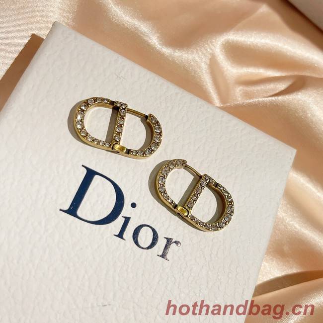 Dior Earrings CE9255