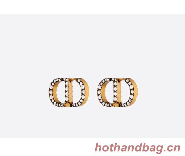 Dior Earrings CE9255