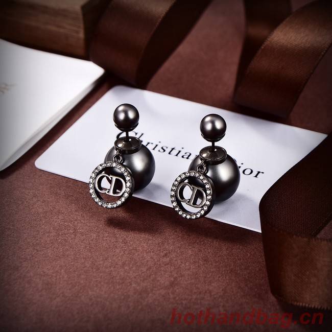 Dior Earrings CE9311