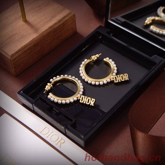 Dior Earrings CE9313