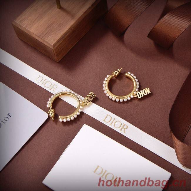 Dior Earrings CE9313