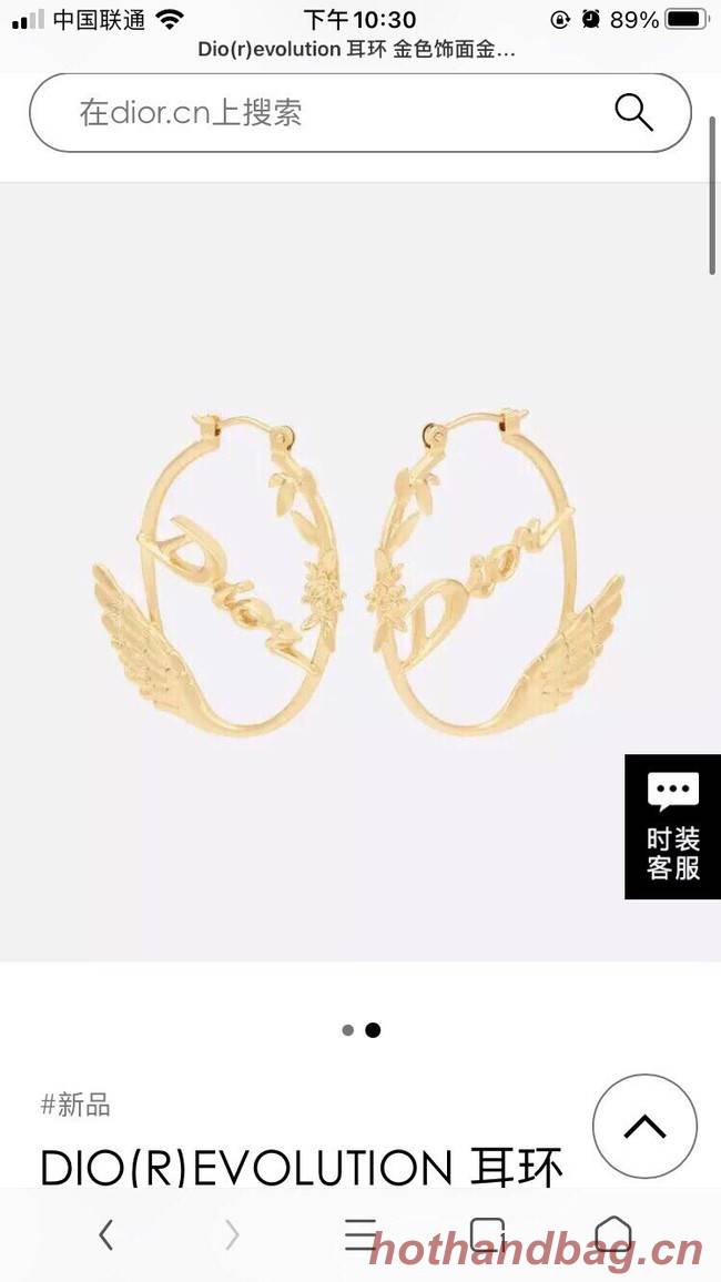 Dior Earrings CE9315