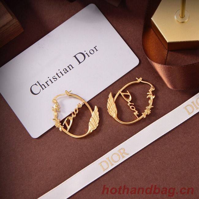 Dior Earrings CE9315