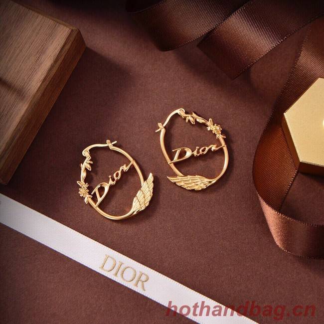 Dior Earrings CE9315