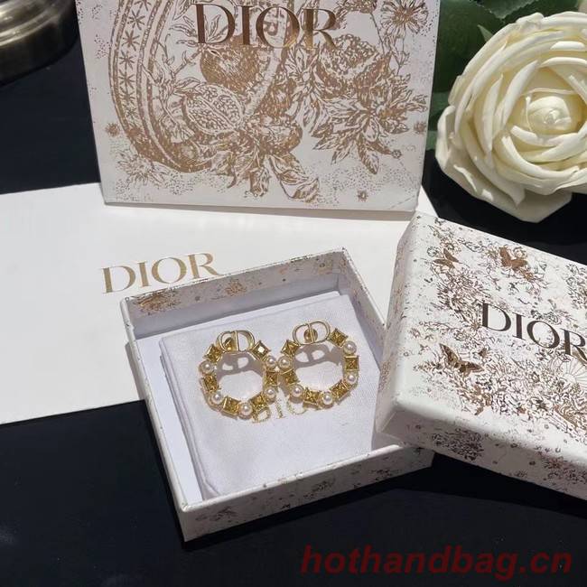 Dior Earrings CE9384