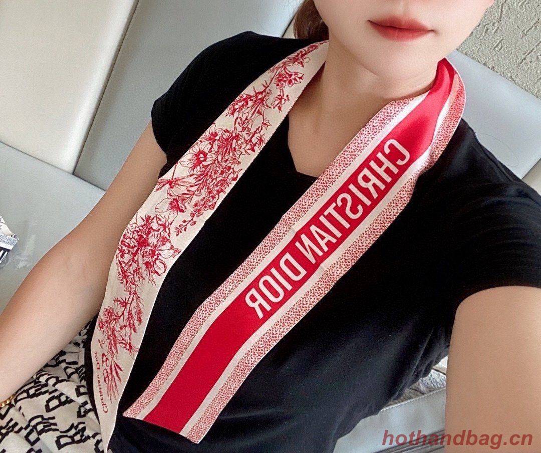 Dior Scarf DIC00001