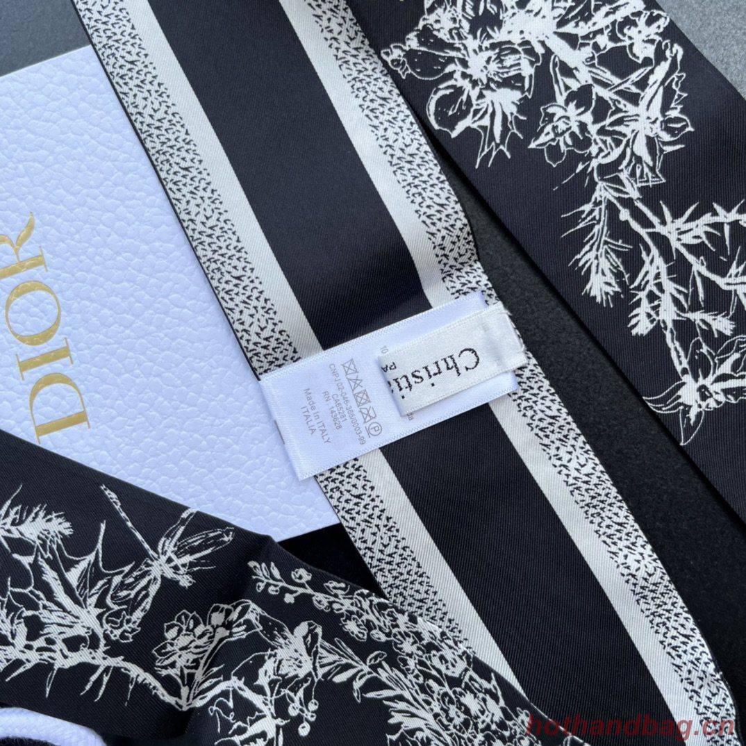 Dior Scarf DIC00002