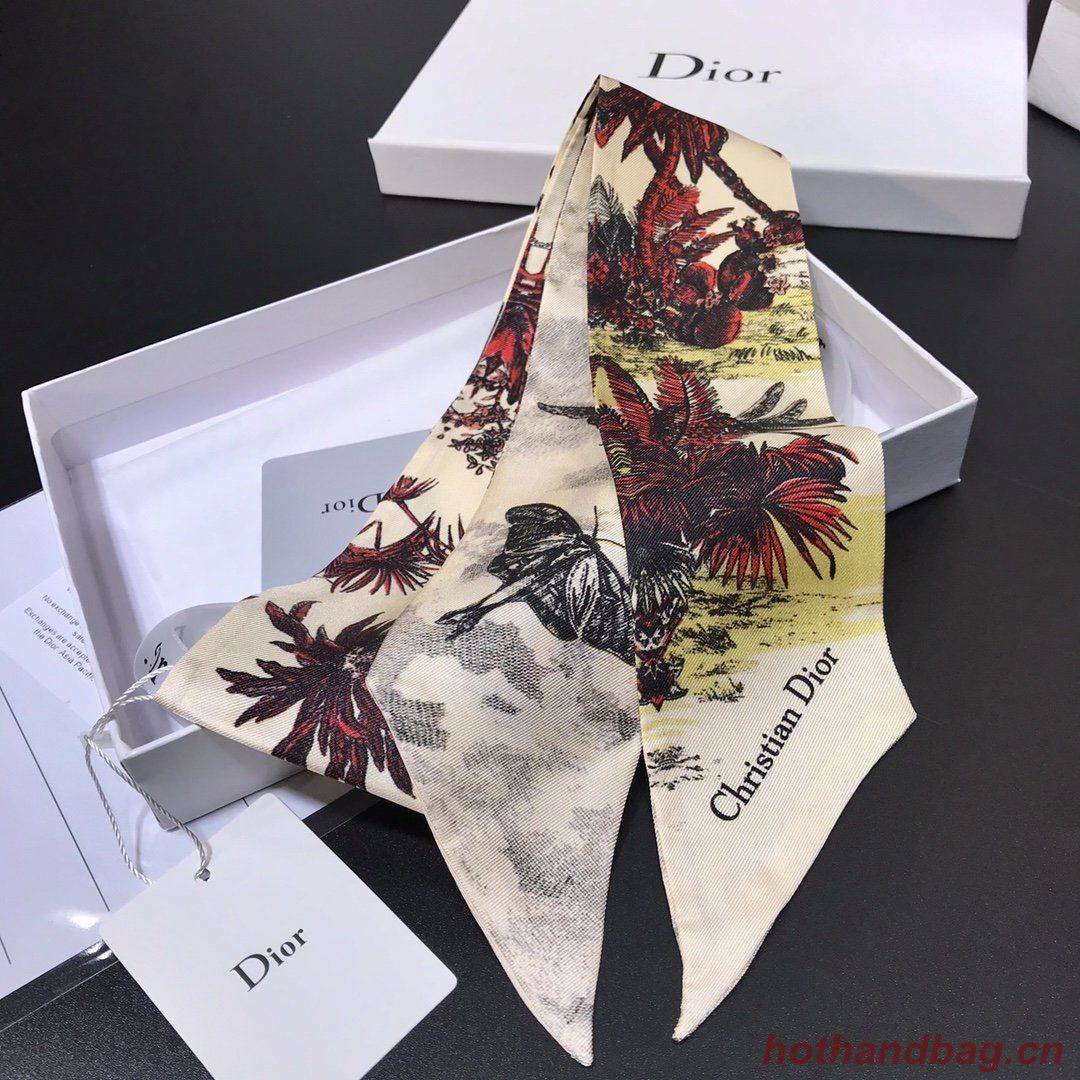 Dior Scarf DIC00003