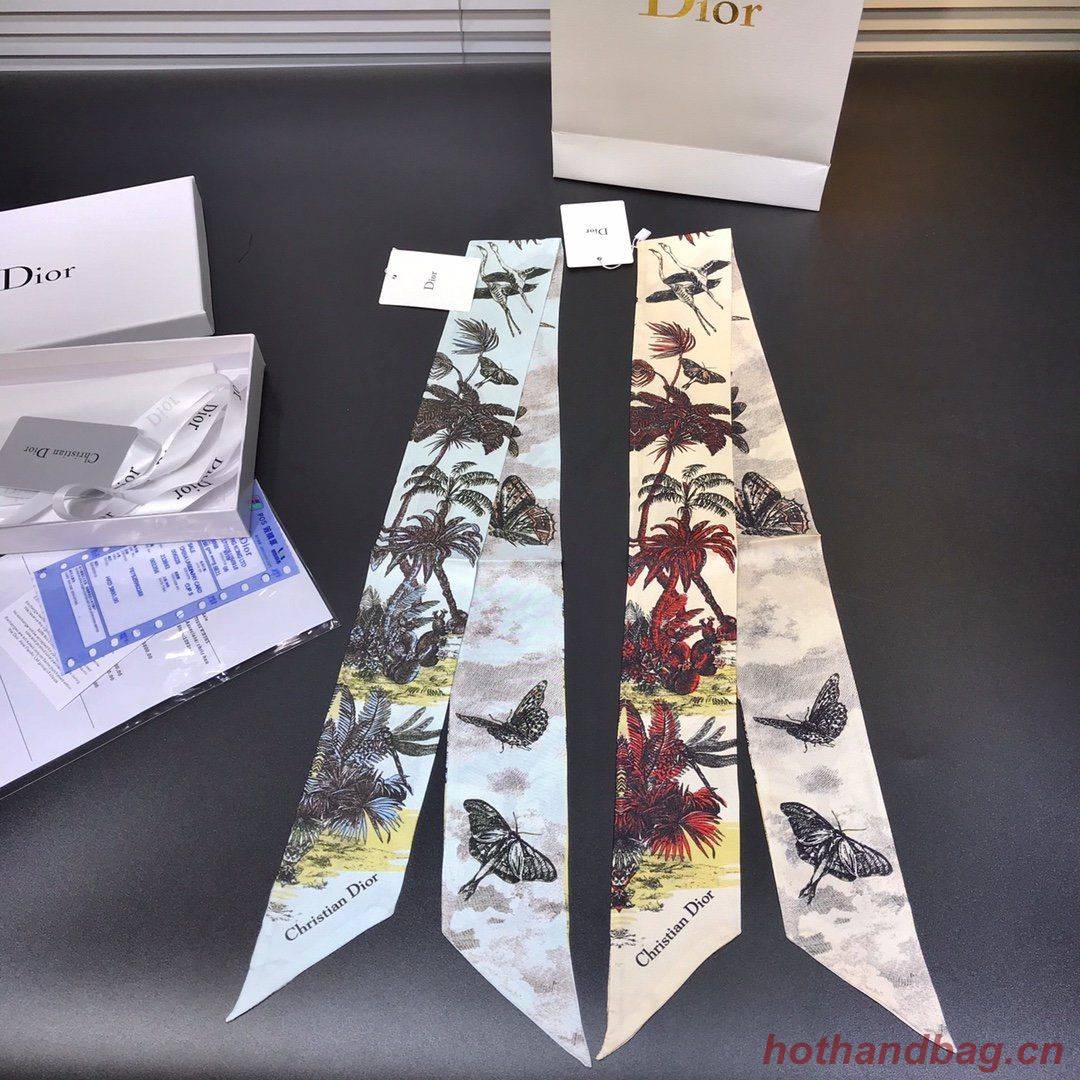 Dior Scarf DIC00004