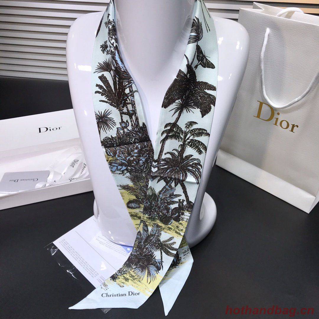 Dior Scarf DIC00004