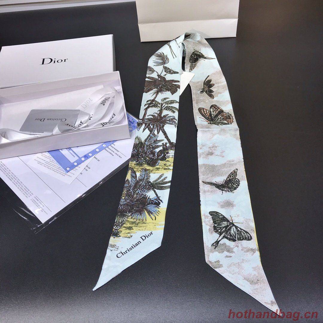 Dior Scarf DIC00004